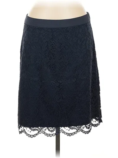 Pre-owned The Limited Formal Skirt In Blue