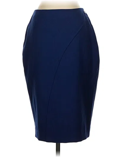 Pre-owned The Limited Formal Skirt In Blue