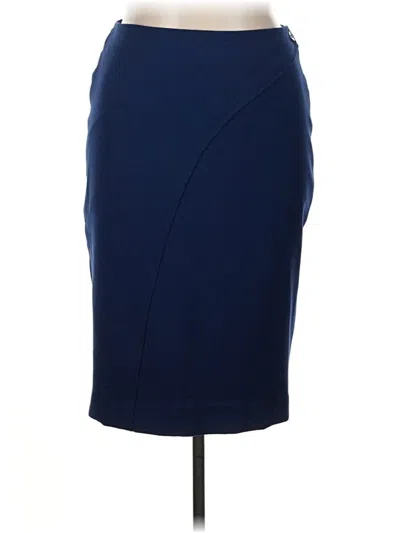 Pre-owned The Limited Formal Skirt In Blue