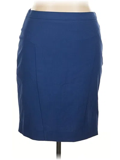 Pre-owned The Limited Formal Skirt In Blue