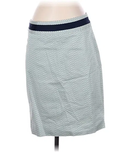 Pre-owned The Limited Outlet Casual Skirt In Blue