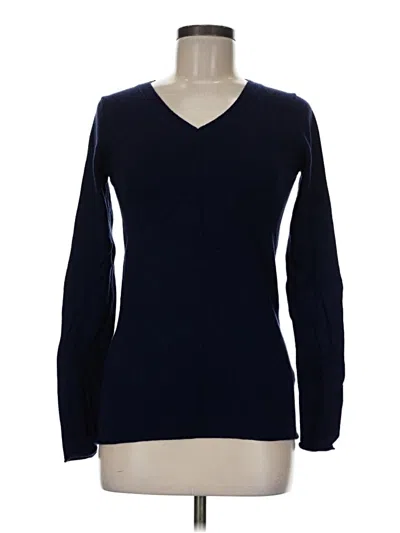 Pre-owned The Limited Pullover Sweater In Blue
