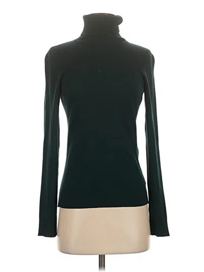 Pre-owned The Limited Turtleneck Sweater In Green