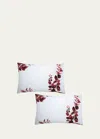 The Lino Eucalyptus 500-thread Count Pillowcase Pair, Standard Case In Red