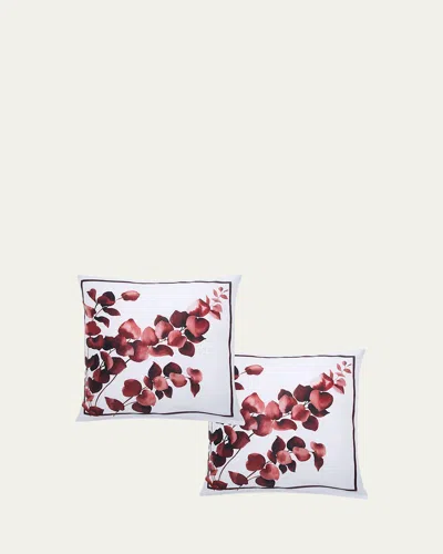 The Lino Eucalyptus 500-thread Count Square Shams, Set Of 2 In Multi