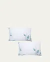 The Lino Japan 500-thread Count Pillowcase Pair, King Case In White