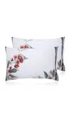 The Lino Princess Eucalyptus  Pillowcase; Set Of Two In Multi