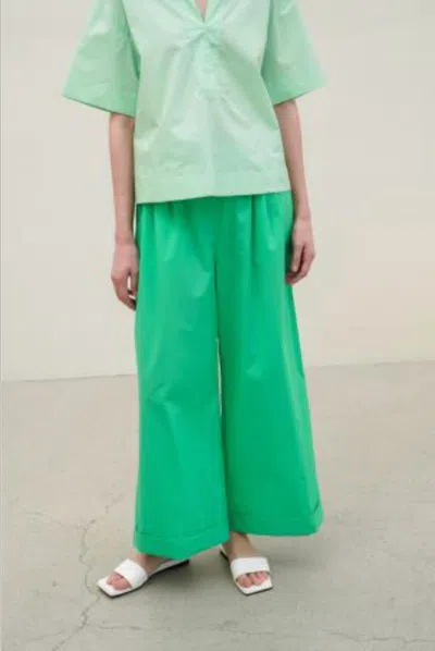 The Loom Cuff Banding Pants In Green In Blue