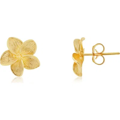 The Lovery Fine Jewelry Gold Tropical Flower Stud Earrings