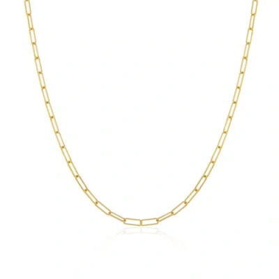 The Lovery Fine Jewelry Mini Paperclip Link Chain Necklace In Gold