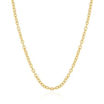 The Lovery Fine Jewelry Textured Link Chain Necklace In Gold