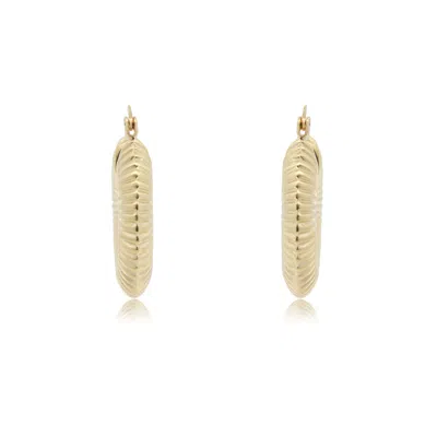 The Lovery Ribbed Gold Hoop Earrings In Multi