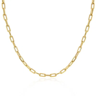 The Lovery Rounded Rectangle Paperclip Link Chain Necklace In Gold