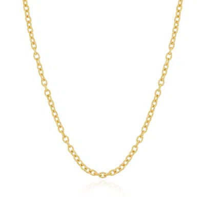 The Lovery Textured Link Chain Necklace In Multi