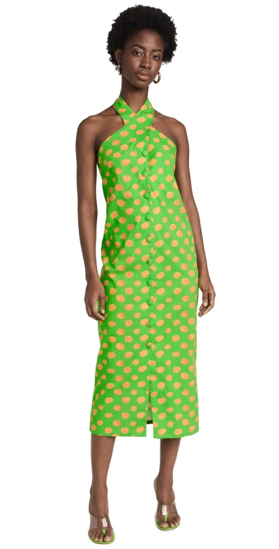 The Lulo Project Cami Dress Green Papaya Dots