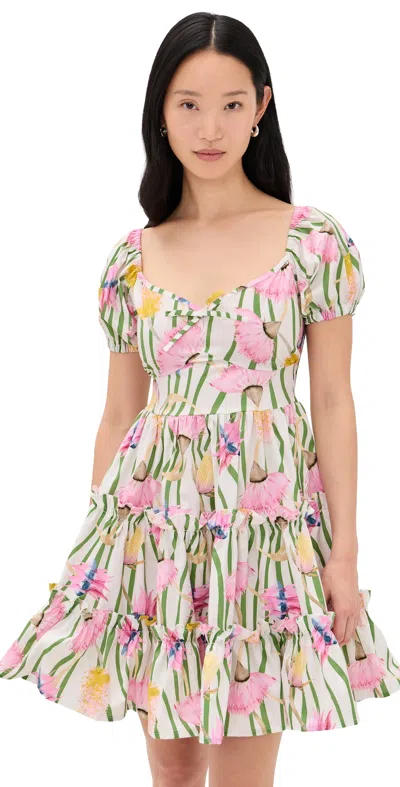 The Lulo Project The Bloom Mini Dress Aussie Desert Flowers