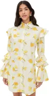 The Lulo Project The Night Owl Dress Mini Daisy