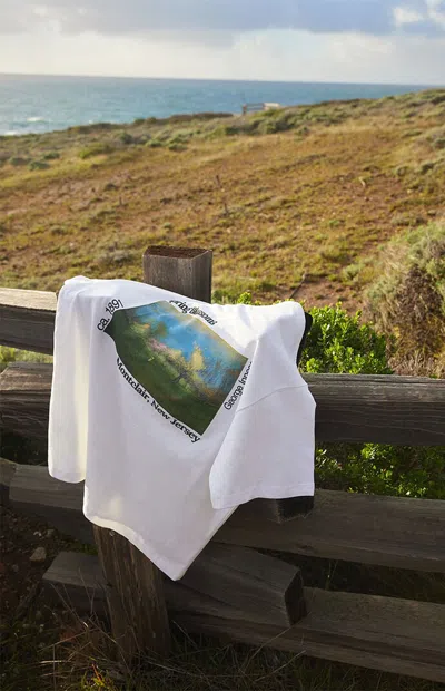 The Met Men's X Pacsun Spring Blossoms T-shirt In White