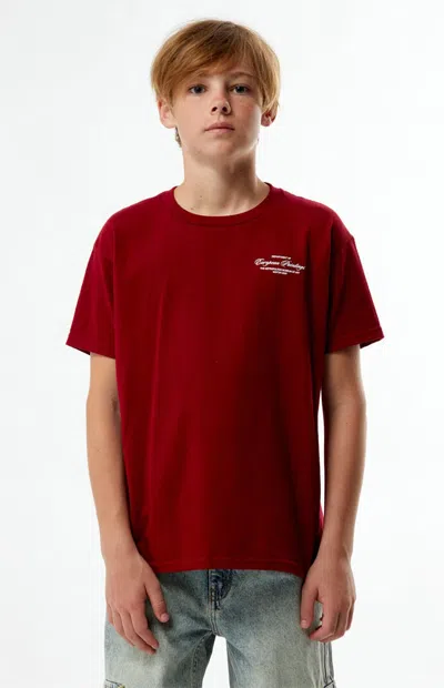 The Met X Pacsun Kids Burgundy Curatorial T-shirt In Red