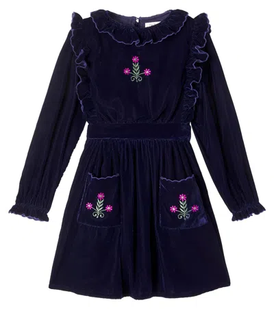 The New Society Kids' Abril Embroidered Velvet Dress In Black