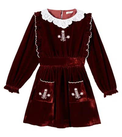 The New Society Kids' Abril Floral Embroidered Velvet Dress In Brown