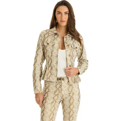 The Noli Shop Bethanie Denim Jacket In Gray