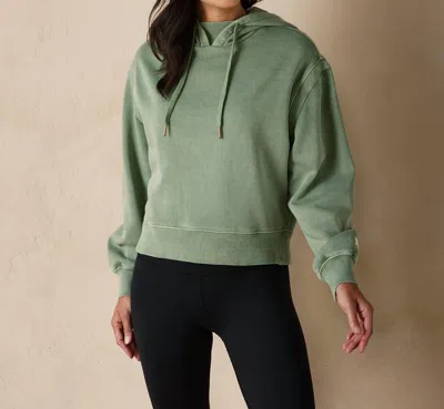 The Normal Brand Boxy Hooded Sweatshirt In Juniper In Green
