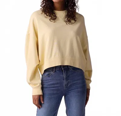 The Normal Brand Cole Terry Vintage Crewneck Sweater In Sunglow In Yellow
