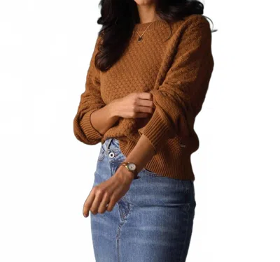 The Normal Brand Colette Chunky Cotton Knit Sweater In Beige In Brown