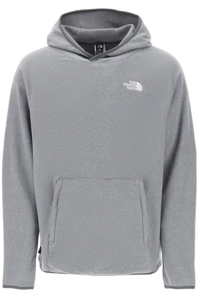 The North Face 100 Glacier Fleece Sweatshirt In Grey