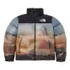 The North Face 1996 Novelty Nuptse Jacket 'multicolor'