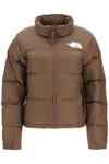The North Face 1996 Retro Nuptse Jacket In Brown