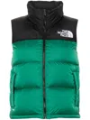 THE NORTH FACE 1996 RETRO NUPTSE GILET