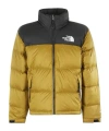 The North Face Greendown Jacket With High Neck And Logo On Front And Back In Tech Fabric Man In Brown