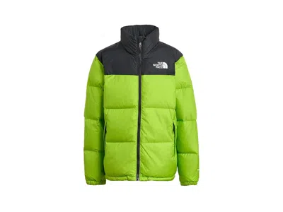 The North Face 1996 Retro Nuptse Jacket (little Kid/big Kid) Kid's Coat Sport Moss: Xl (14-16 Big Kid), Nylon In Green