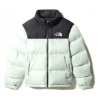 The North Face 1996 Retro Nuptse Logo Jacket 'white' In Blue