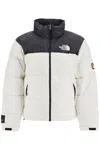 THE NORTH FACE 1996 RETRO NUPTSE RIPSTOP