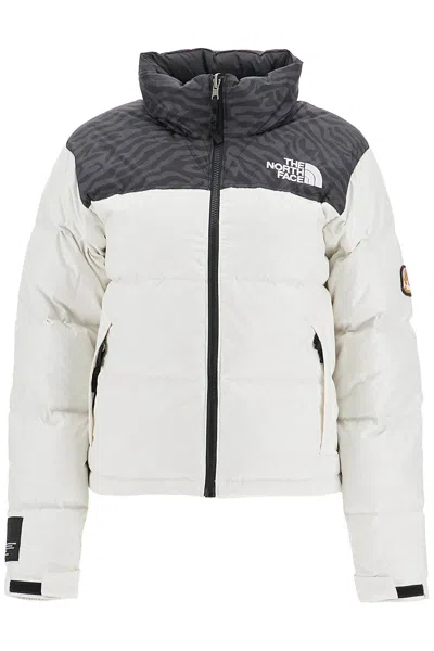 THE NORTH FACE 1996 RETRO NUPTSE