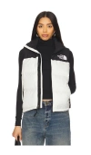 The North Face 1996 Retro Nutpse Vest In White