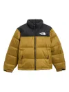 The North Face Greendown Jacket With High Neck And Logo On Front And Back In Tech Fabric Man In Green
