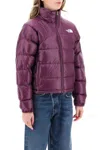 The North Face Purple 2000 Retro Nuptse Down Jacket In Multi