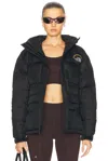 The North Face Womens  Anni Expedition System Logo-embroidered Padded Shell-down Jacket In Tnf Black