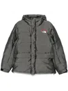 The North Face 30th Anniversary Himalayan Jacket In Grey