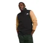 The North Face Apex Bionic 3 Vest In Tnf Black In Multi
