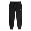 The North Face Evolution Fleece-lined Pant Straight Fit In Black