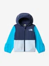 The North Face Toddler And Little Boys Glacier Full Zip Hoodie In Multi