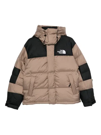 The North Face Brown Down Jacket With Removable Drawstring Hood And Logo Lettering And Front And Rear In Tech Fabri