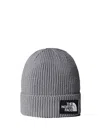 The North Face Beanie Hat Logo Box In Gray