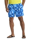 The North Face Big & Tall Pathfinder Pull-on Shorts In Hero Blue Print