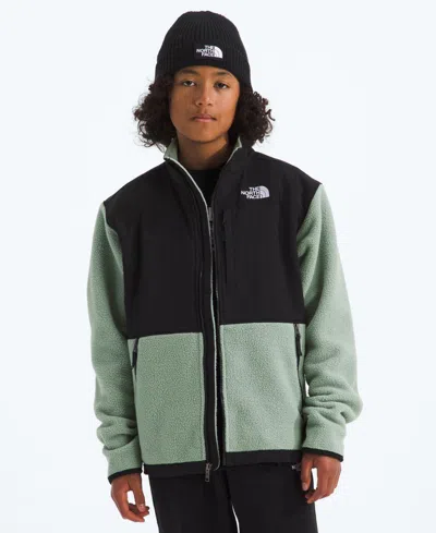 THE NORTH FACE BIG BOYS DENALI FLEECE JACKET